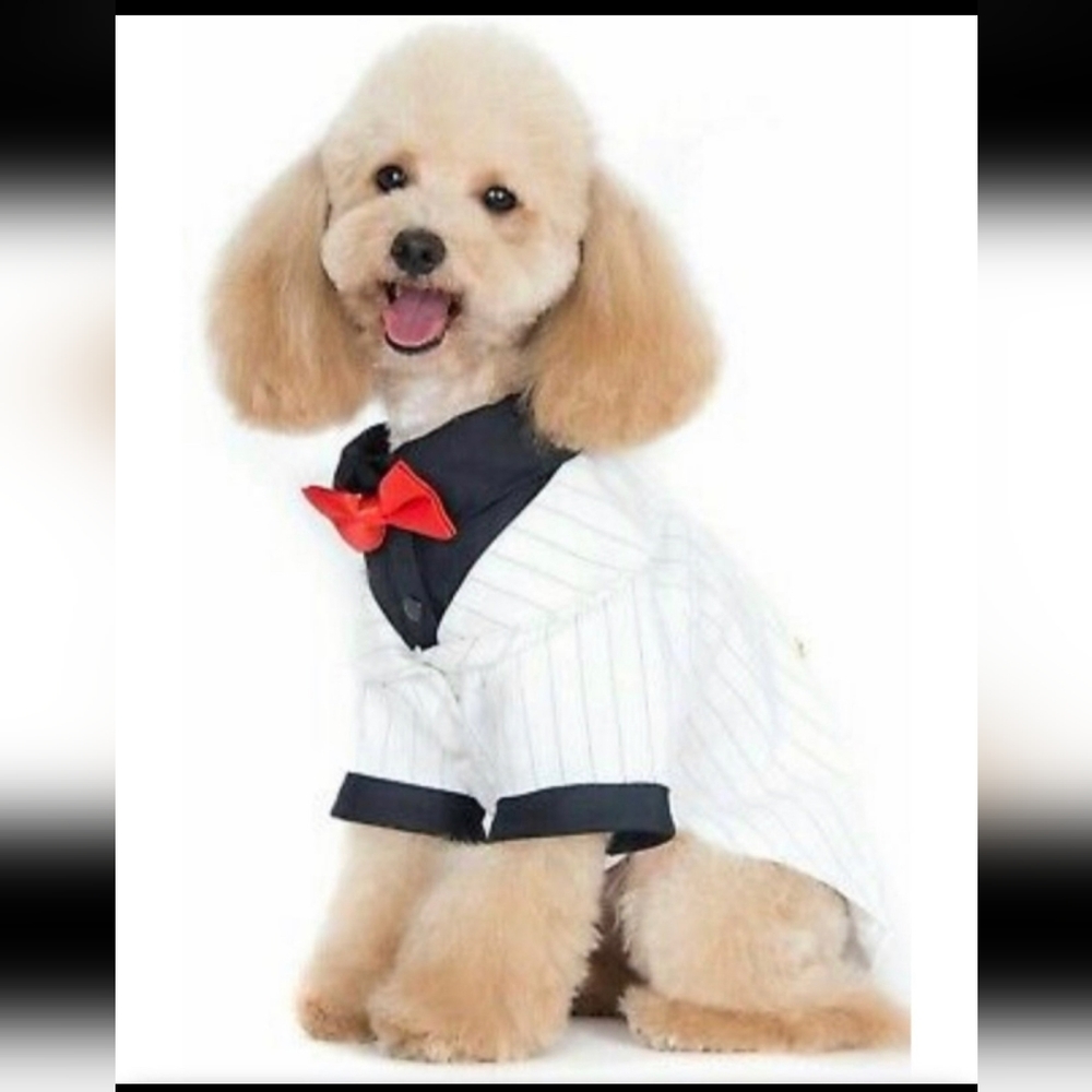 NEW Alfie White Black Stripe Formalwear Bowtie Tie Dog Puppy Tux Tuxedo …